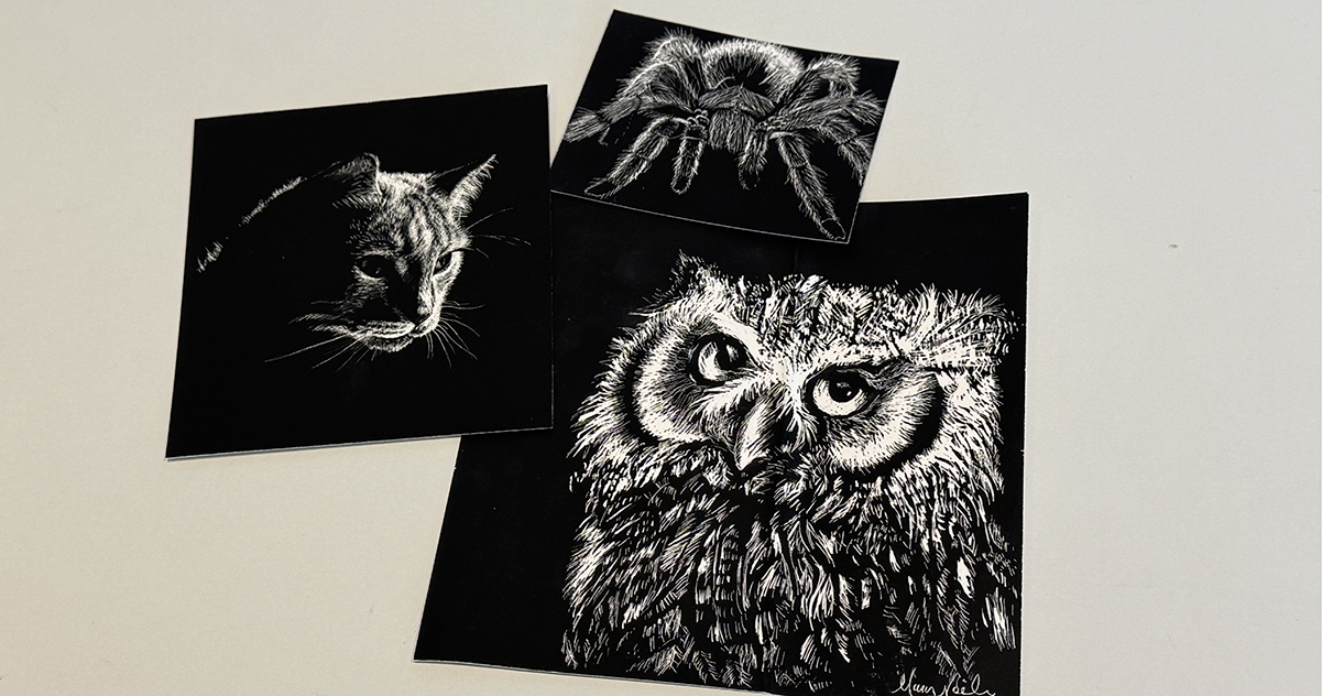 Scratchboard Pet Portraits