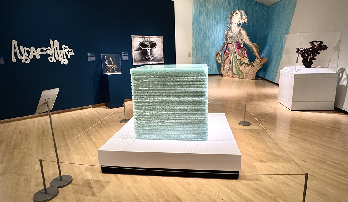 75th Anniversary: New Visions for the Permanent Collection